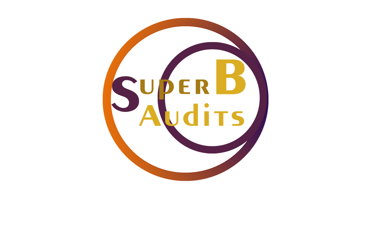 Logo Design by milicontreras22 for Superb Audits Pty Ltd | Design #4857802
