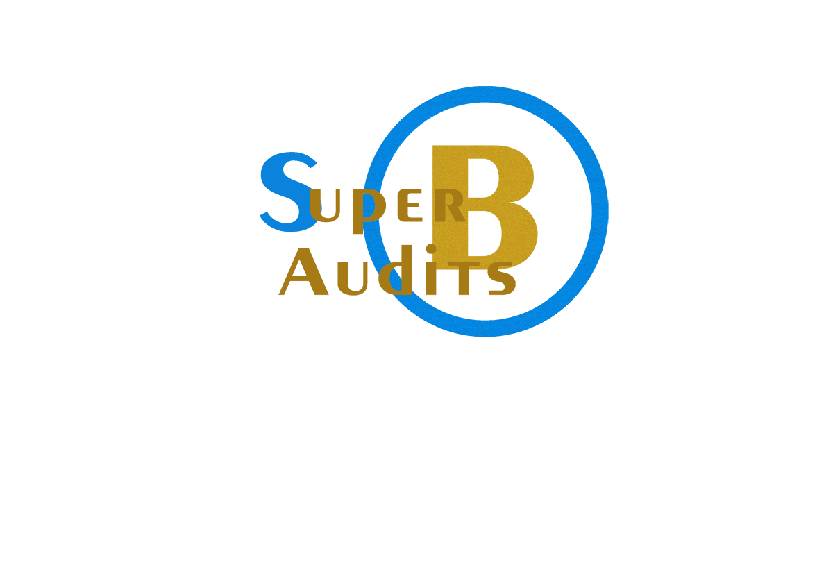 Logo Design by milicontreras22 for Superb Audits Pty Ltd | Design #4857818