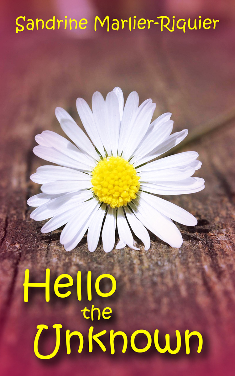 Diseño de portada de libro por Lilliepink para este proyecto | Diseño #4860786