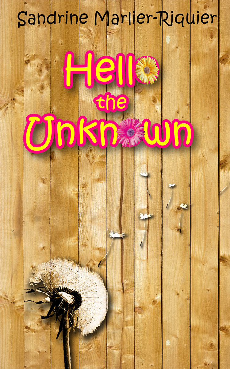 Diseño de portada de libro por Lilliepink para este proyecto | Diseño #4860790