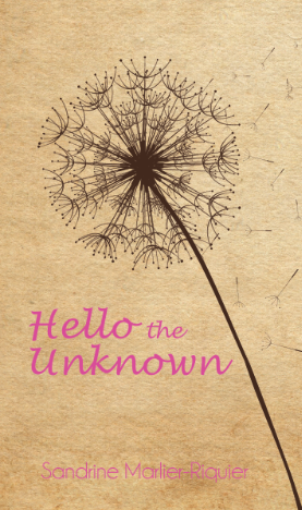 Diseño de portada de libro por Design Hunger para este proyecto | Diseño #4863635