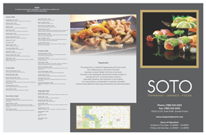 Brochure Design by barinix