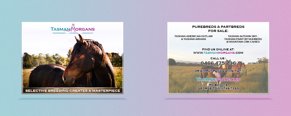 Flyer-Design von Lilu Design für Tasman Morgans | Design #4865003