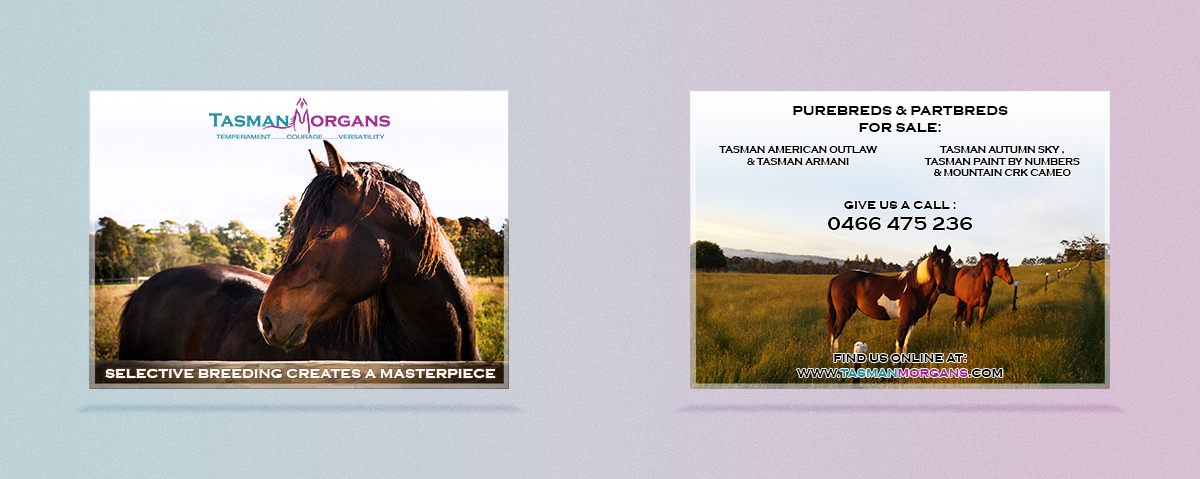 Flyer Design by Lilu Design for Tasman Morgans | Design #4871670