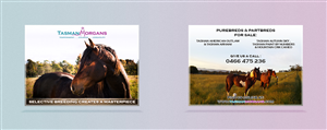 Flyer Design by Lilu Design for Tasman Morgans | Design: #4871670