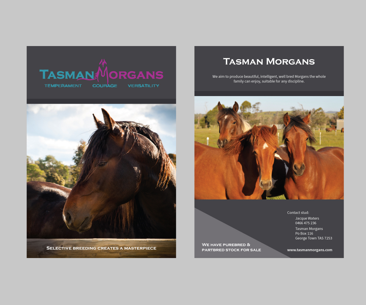 Diseño de Flyer por Augie Design para Tasman Morgans | Diseño #4872239