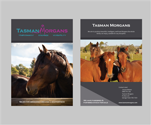 Flyer Design by Augie Design