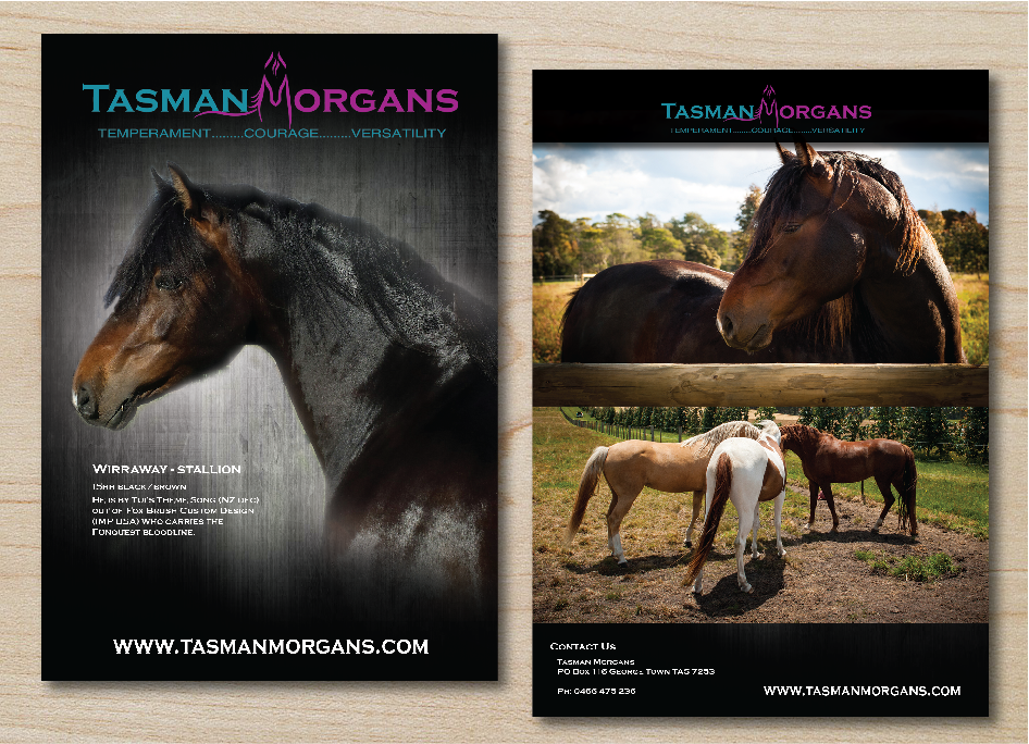 Flyer Design by alex989 for Tasman Morgans | Design #4864023