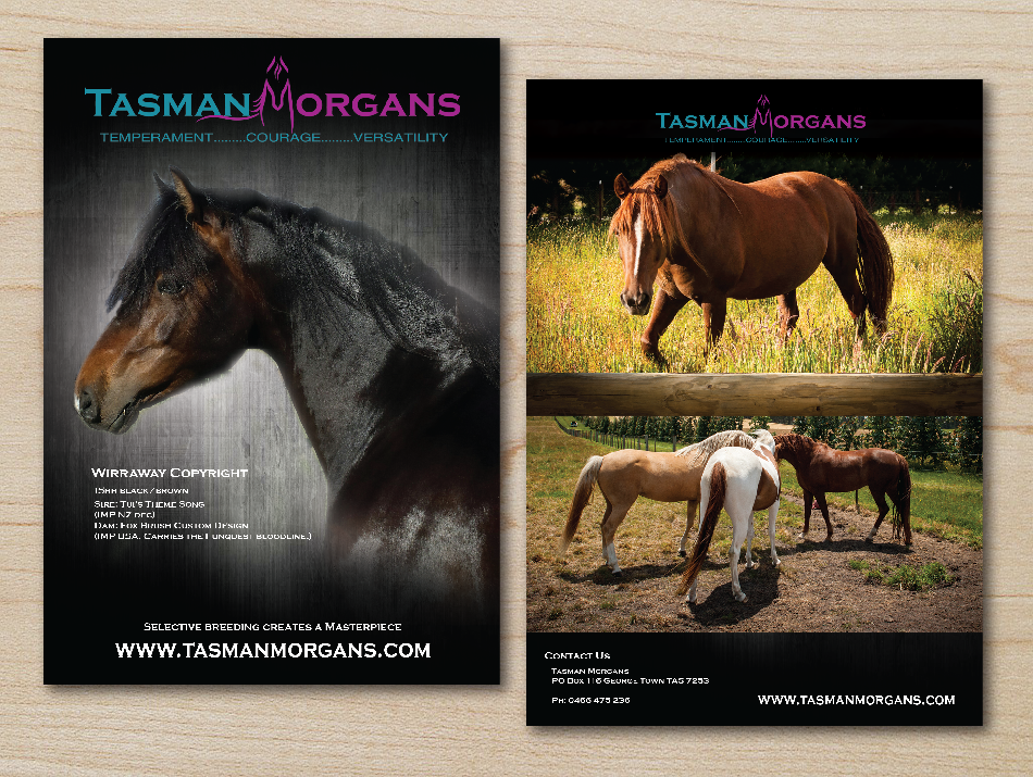 Design de Flyer par alex989 pour Tasman Morgans | Design #4865295