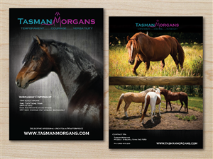 Flyer Design by alex989 for Tasman Morgans | Design: #4865295