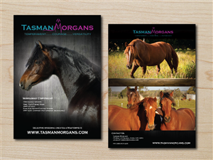 Diseño de Flyer por alex989 para Tasman Morgans | Diseño #4871517