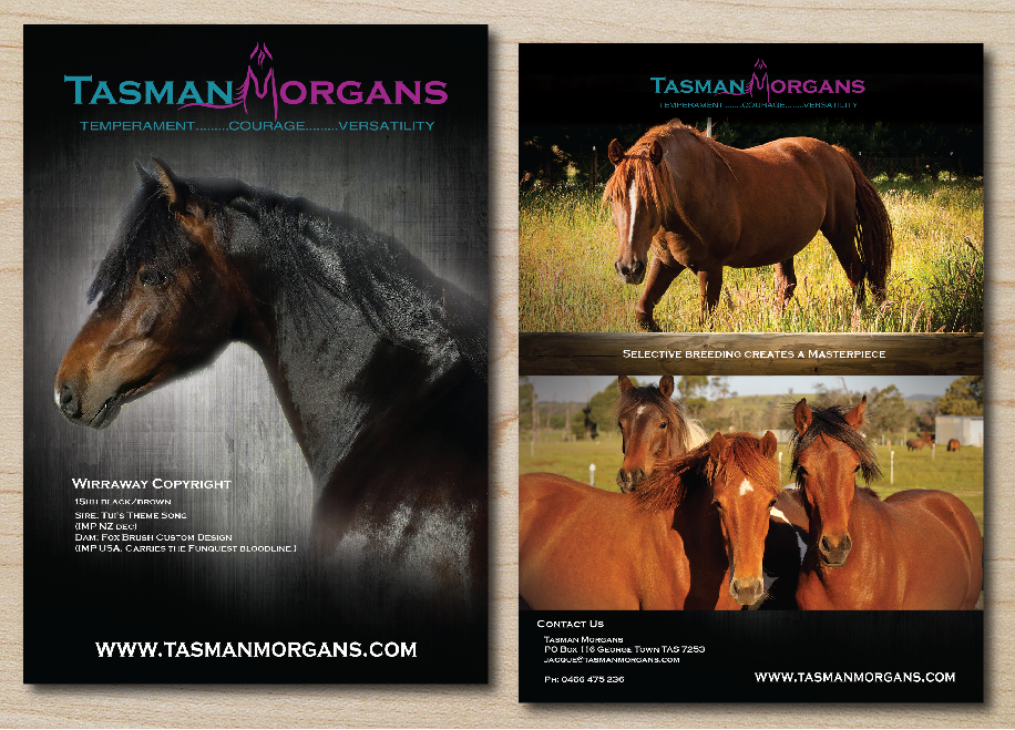Design de Flyer par alex989 pour Tasman Morgans | Design #4883886