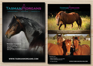 Tasman Morgans flyer | Flyer Design by alex989