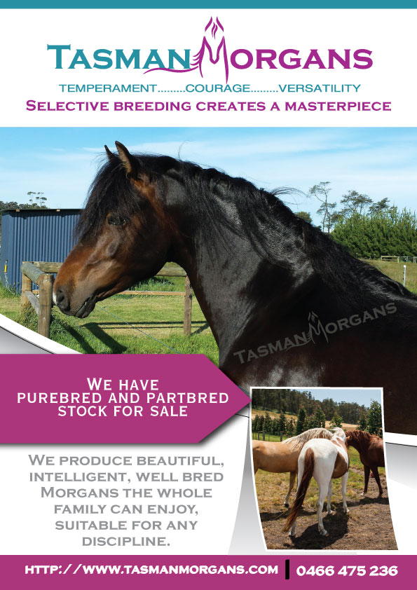 Flyer Design by Impressive Sol for Tasman Morgans | Design #4877596