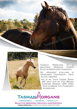 Flyer Design by Impressive Solutions for Tasman Morgans | Design: #4877599