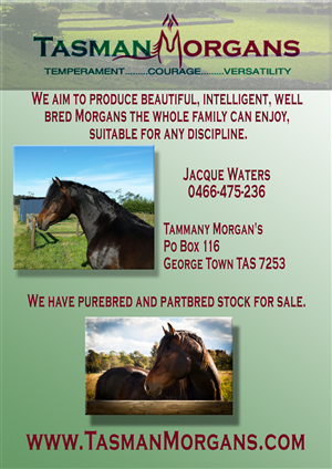 Flyer Design by iamwolf13666 for Tasman Morgans | Design: #4862522