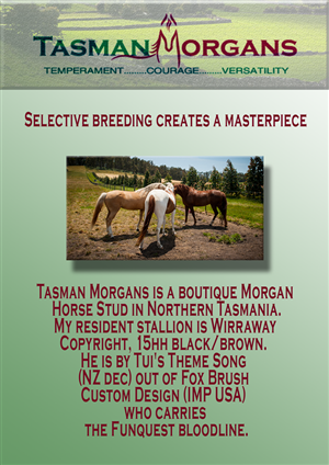 Flyer Design by iamwolf13666 for Tasman Morgans | Design: #4862706