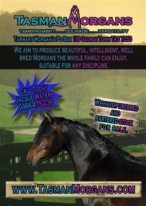 Diseño de Flyer por iamwolf13666 para Tasman Morgans | Diseño #4868545