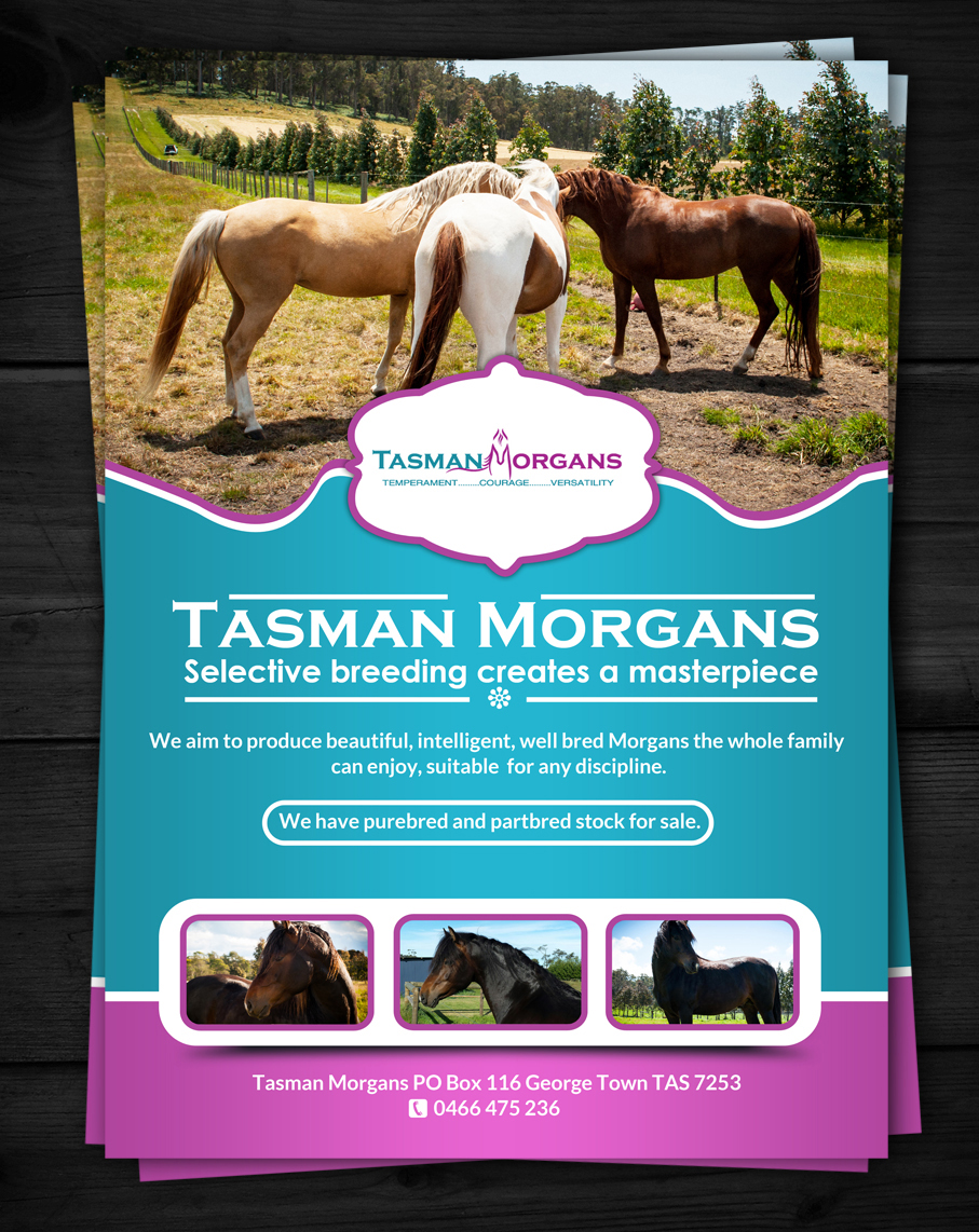 Flyer Design by ESolz Technologies for Tasman Morgans | Design #4866702
