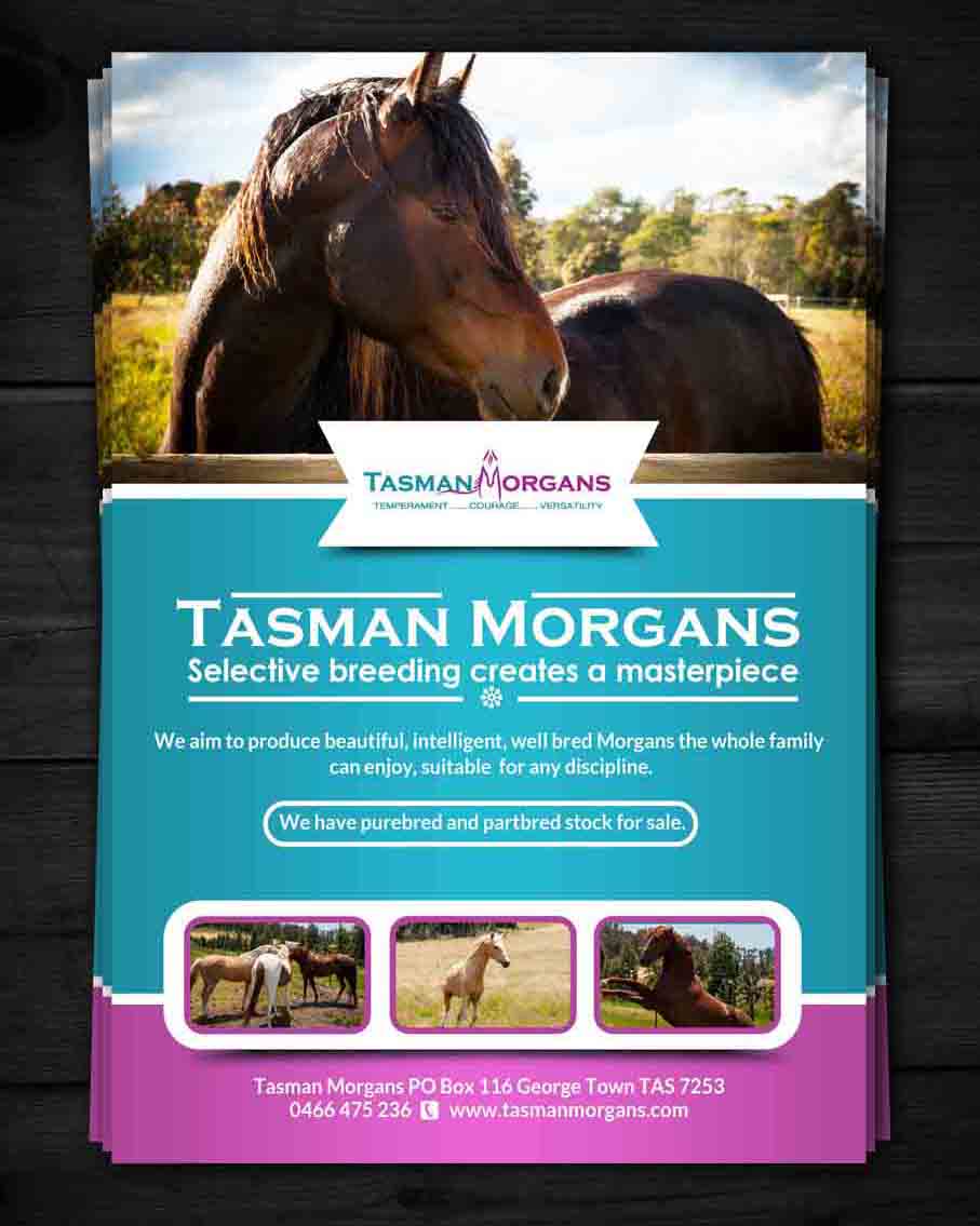 Flyer Design by ESolz Technologies for Tasman Morgans | Design #4878005