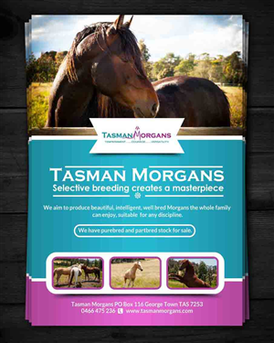 Diseño de Flyer por ESolz Technologies para Tasman Morgans | Diseño #4878005