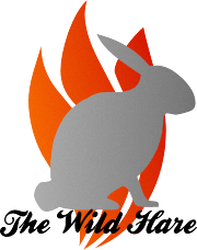 Logo Design by Emmalein