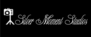 Logo Design by ayan13