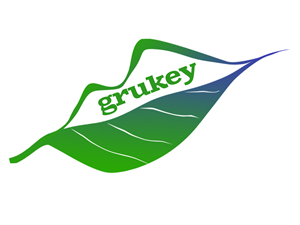 Logo Design by mamdhuh for this project | Design #4858984