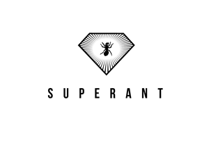 Logo Design by Natan