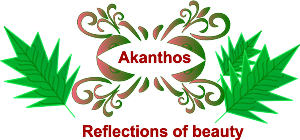 Logo Design by jyoti23