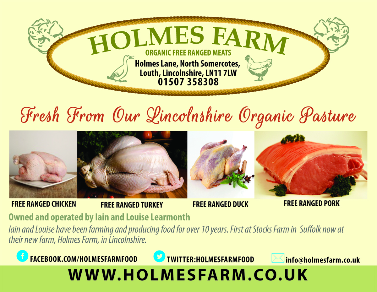 Flyer Design by Venus L. Penaflor for Iain Learmonth | Design #4866884