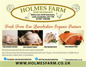 Flyer Design by Venus L. Penaflor for Iain Learmonth | Design: #4866884