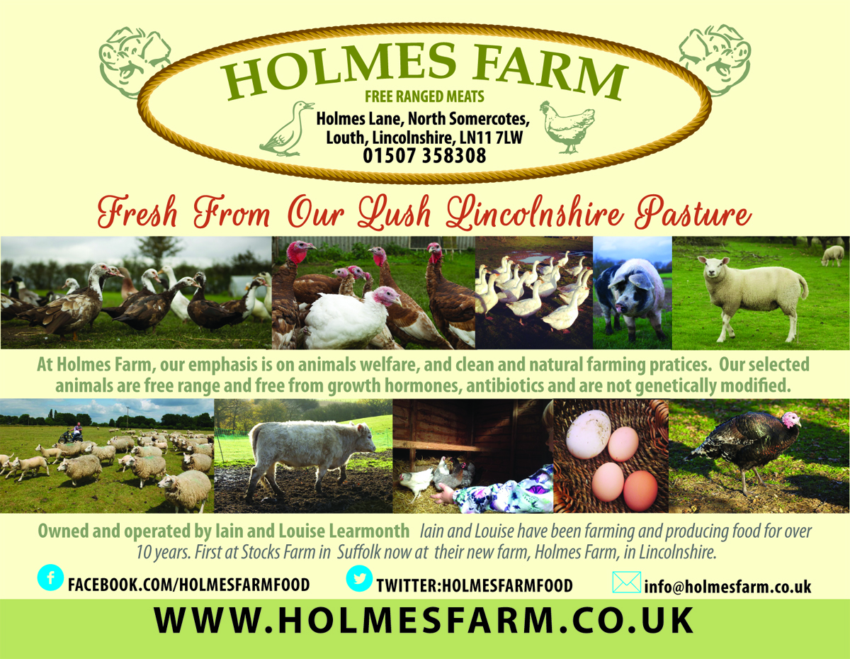 Flyer Design by Venus L. Penaflor for Iain Learmonth | Design #4878965