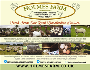 Flyer Design by Venus L. Penaflor for Iain Learmonth | Design: #4878965