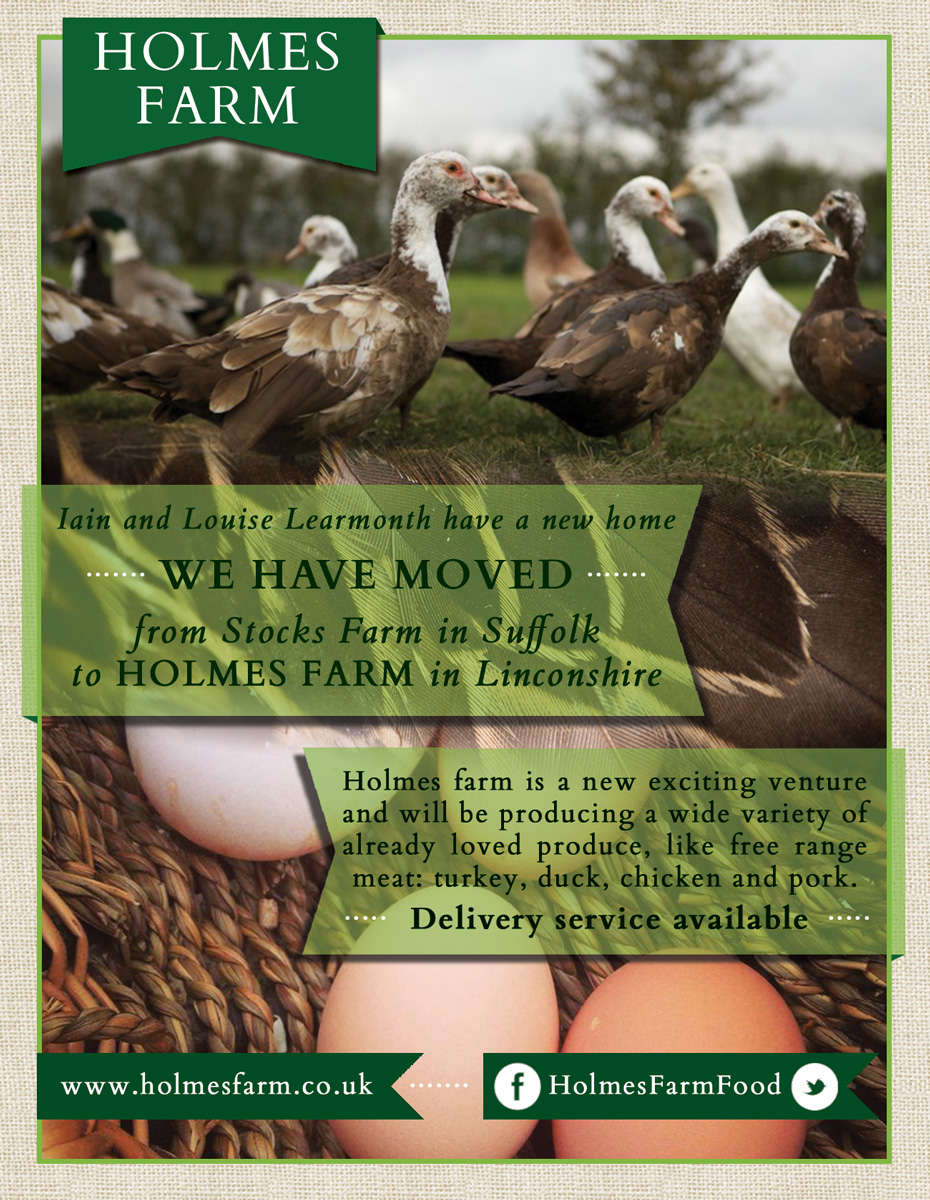 Flyer Design by Tomi and Edó for Iain Learmonth | Design #4882233