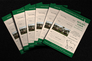 Flyer Design by Jo Hooper for Iain Learmonth | Design #4874683