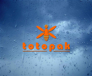 Logo Design by ochaTheAngel