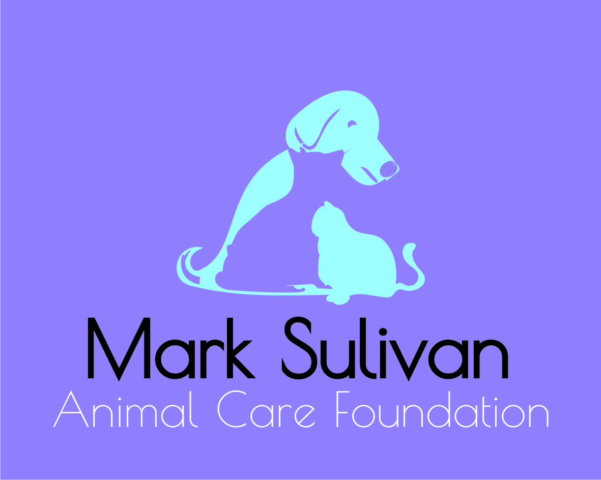 Logo Design by blueseal for this project | Design #4935506