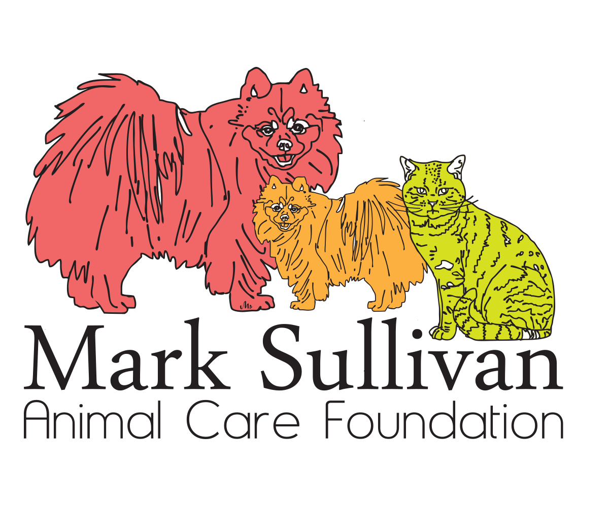 Logo Design by JS for this project | Design #4912345
