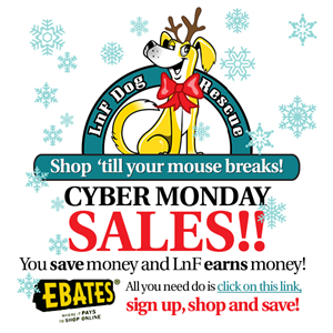 Diseño de Logo por artess para LnF Dog Rescue Adoption Center | Diseño: #4875141