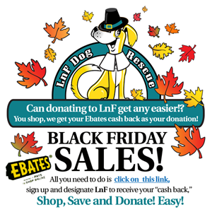 Diseño de Logo por artess para LnF Dog Rescue Adoption Center | Diseño: #4882144