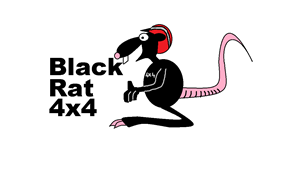 Logo Design by erol king