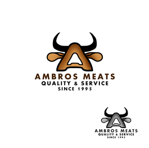 Logo Design by Solver