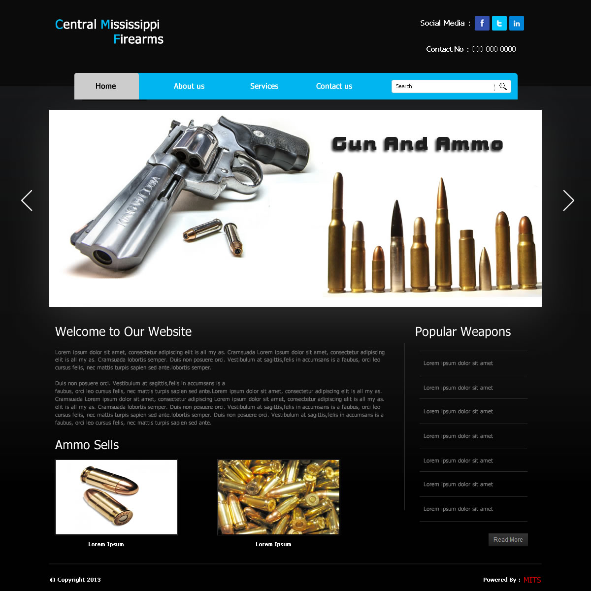 Web Design by Mosquitoes IT Solutions for Powernet Inc. | Design #1396365