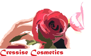 Logo Design by DanielaZ