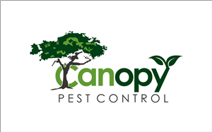 Logo Design by Logicspider