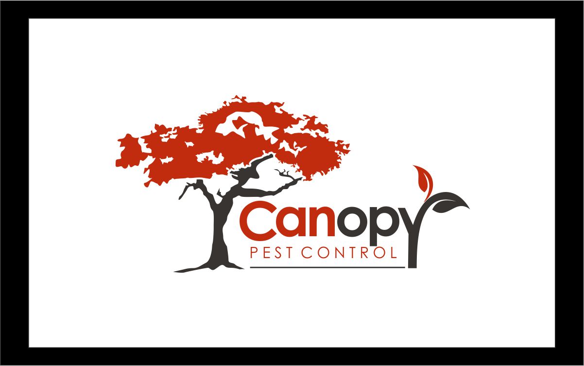 Logo Design by Logicspider for this project | Design #4909254