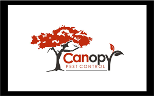 Logo Design by Logicspider for this project | Design #4909254