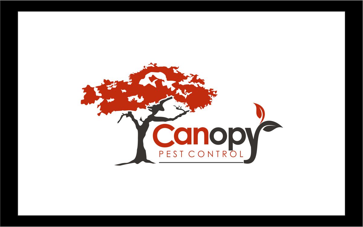 Logo Design by Logicspider for this project | Design #4909261