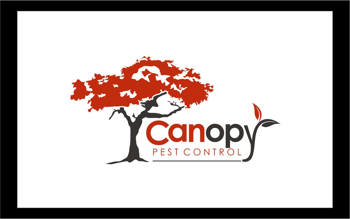 Logo Design by Logicspider for this project | Design #4909264